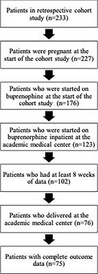 Incarceration status at buprenorphine initiation and OUD treatment outcomes during pregnancy